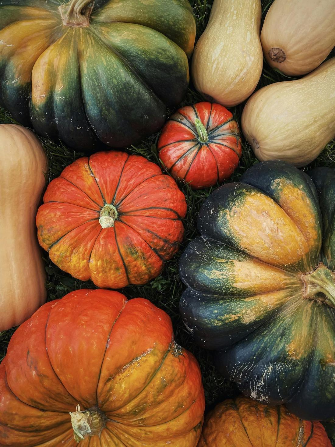 Courges d'automne